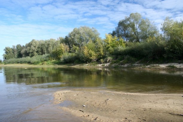 Shrap-Drakers.pl | Shrap Drakers Fishing | Wędkarstwo 