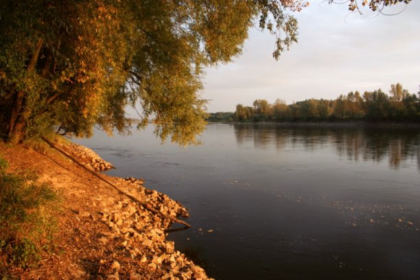 Shrap-Drakers.pl | Shrap Drakers Fishing | Wędkarstwo 