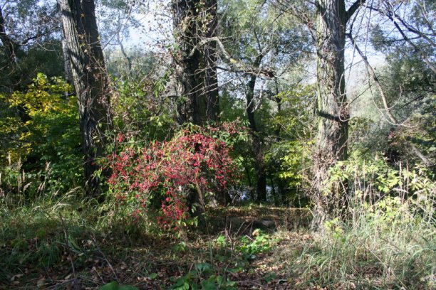 Shrap-Drakers.pl | Shrap Drakers Fishing | Wędkarstwo 