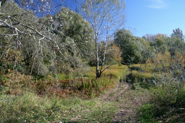 Shrap-Drakers.pl | Shrap Drakers Fishing | Wędkarstwo 