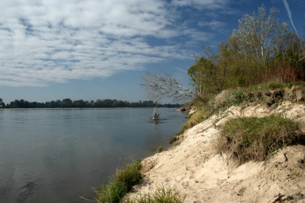 Shrap-Drakers.pl | Shrap Drakers Fishing | Wędkarstwo 