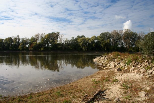 Shrap-Drakers.pl | Shrap Drakers Fishing | Wędkarstwo 