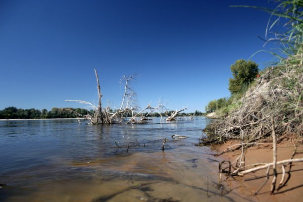 Shrap-Drakers.pl | Shrap Drakers Fishing | Wędkarstwo 
