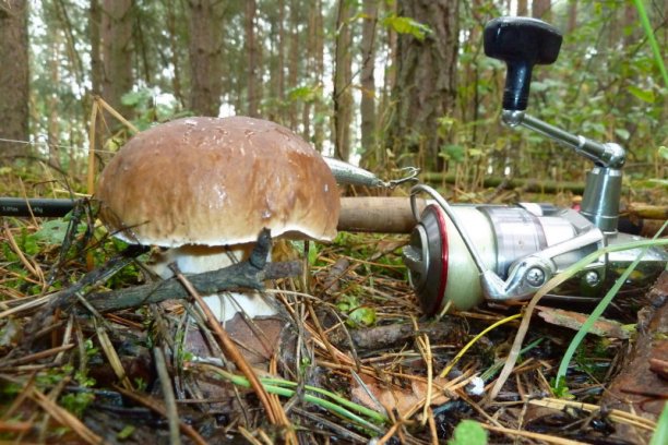 Shrap-Drakers.pl | Shrap Drakers Fishing | Wędkarstwo 