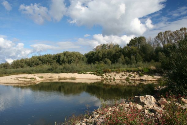 Shrap-Drakers.pl | Shrap Drakers Fishing | Wędkarstwo 