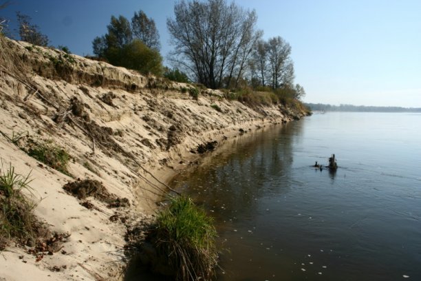 Shrap-Drakers.pl | Shrap Drakers Fishing | Wędkarstwo 