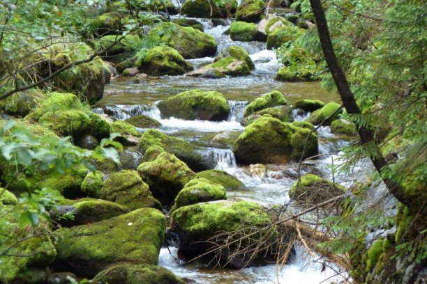 Shrap-Drakers.pl | Shrap Drakers Fishing | Wędkarstwo 