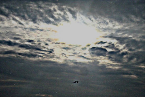 Shrap-Drakers.pl | Shrap Drakers Fishing | Wędkarstwo 