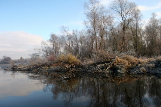 Shrap-Drakers.pl | Shrap Drakers Fishing | Wędkarstwo 