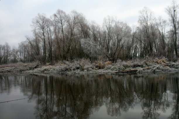 Shrap-Drakers.pl | Shrap Drakers Fishing | Wędkarstwo 
