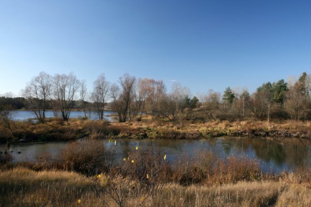 Shrap-Drakers.pl | Shrap Drakers Fishing | Wędkarstwo 