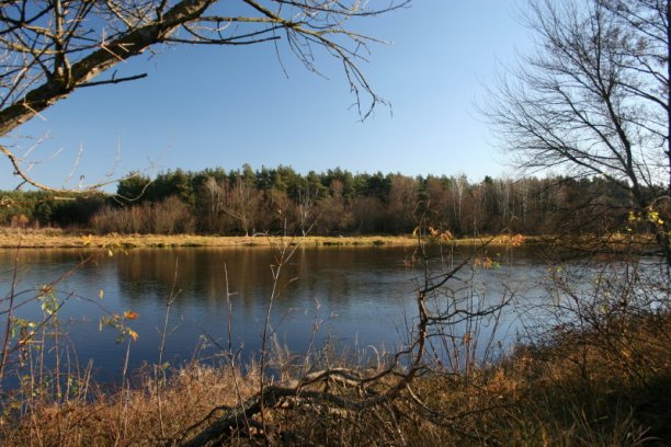 Shrap-Drakers.pl | Shrap Drakers Fishing | Wędkarstwo 