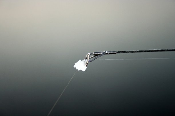 Shrap-Drakers.pl | Shrap Drakers Fishing | Wędkarstwo 