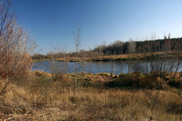 Shrap-Drakers.pl | Shrap Drakers Fishing | Wędkarstwo 