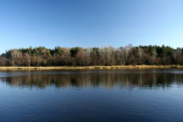 Shrap-Drakers.pl | Shrap Drakers Fishing | Wędkarstwo 