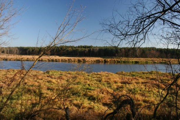 Shrap-Drakers.pl | Shrap Drakers Fishing | Wędkarstwo 