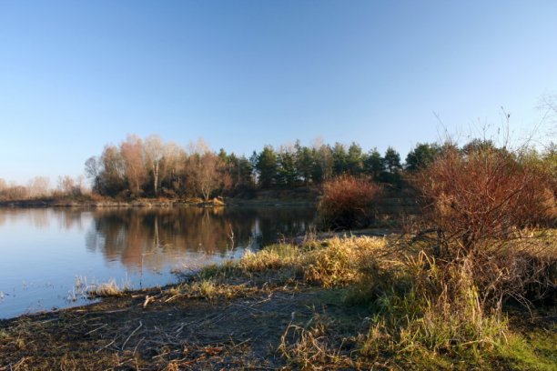 Shrap-Drakers.pl | Shrap Drakers Fishing | Wędkarstwo 