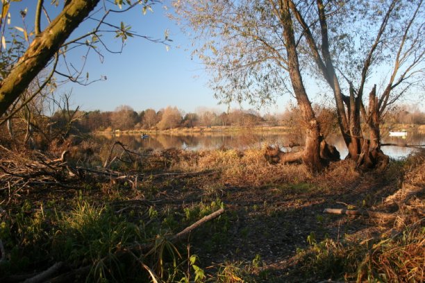 Shrap-Drakers.pl | Shrap Drakers Fishing | Wędkarstwo 