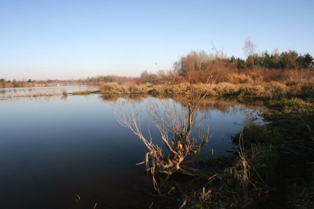 Shrap-Drakers.pl | Shrap Drakers Fishing | Wędkarstwo 