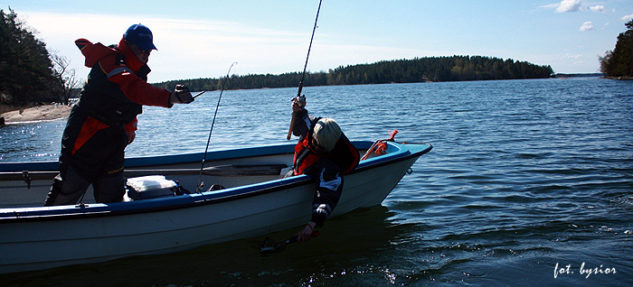 Shrap-Drakers.pl | Shrap Drakers Fishing | Wędkarstwo 