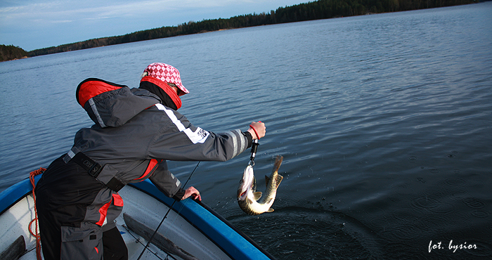 Shrap-Drakers.pl | Shrap Drakers Fishing | Wędkarstwo 