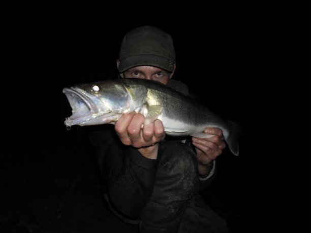 Shrap-Drakers.pl | Shrap Drakers Fishing | Wędkarstwo 