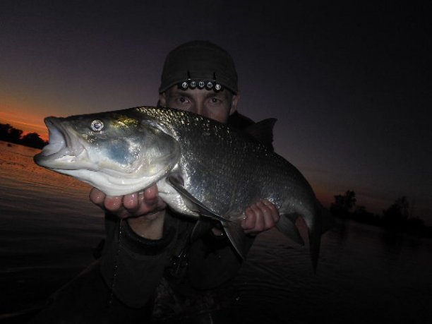 Shrap-Drakers.pl | Shrap Drakers Fishing | Wędkarstwo 