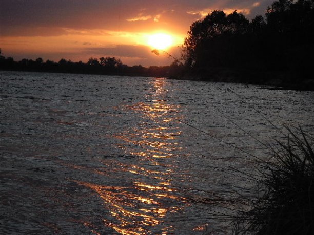 Shrap-Drakers.pl | Shrap Drakers Fishing | Wędkarstwo 