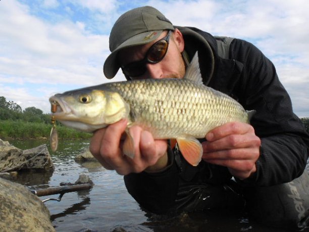 Shrap-Drakers.pl | Shrap Drakers Fishing | Wędkarstwo 