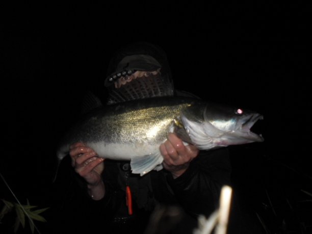 Shrap-Drakers.pl | Shrap Drakers Fishing | Wędkarstwo 