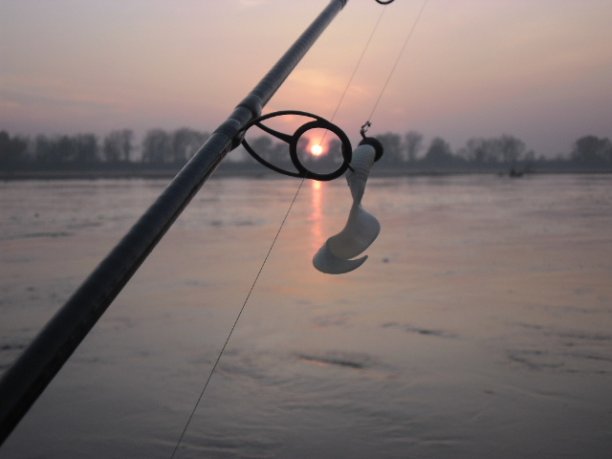 Shrap-Drakers.pl | Shrap Drakers Fishing | Wędkarstwo 