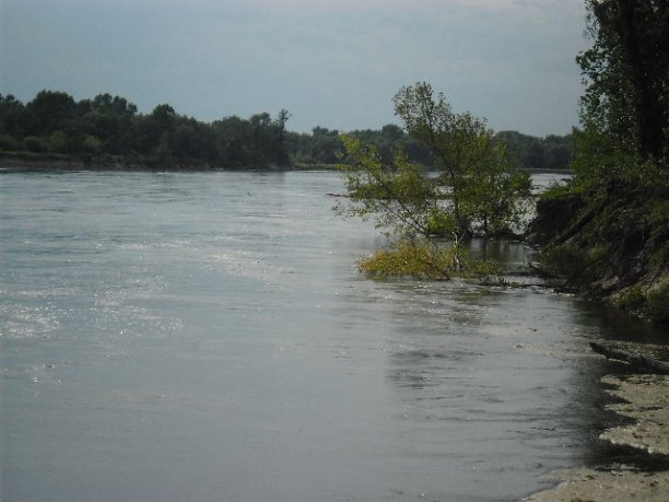 Shrap-Drakers.pl | Shrap Drakers Fishing | Wędkarstwo 