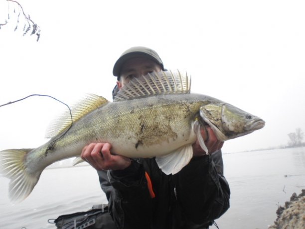 Shrap-Drakers.pl | Shrap Drakers Fishing | Wędkarstwo 