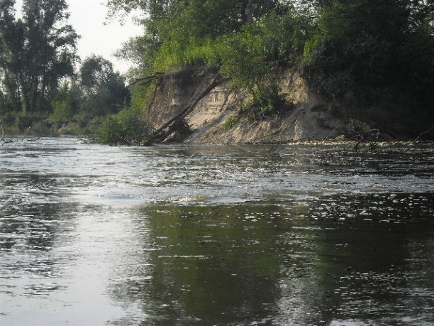 Shrap-Drakers.pl | Shrap Drakers Fishing | Wędkarstwo 