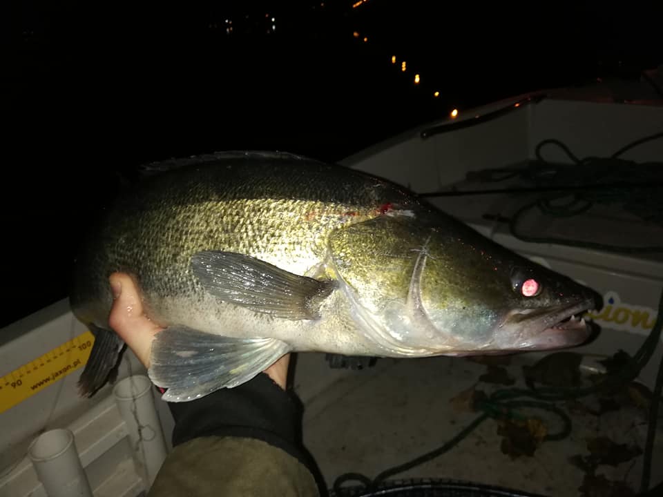 Shrap-Drakers.pl | Shrap Drakers Fishing | Wędkarstwo 