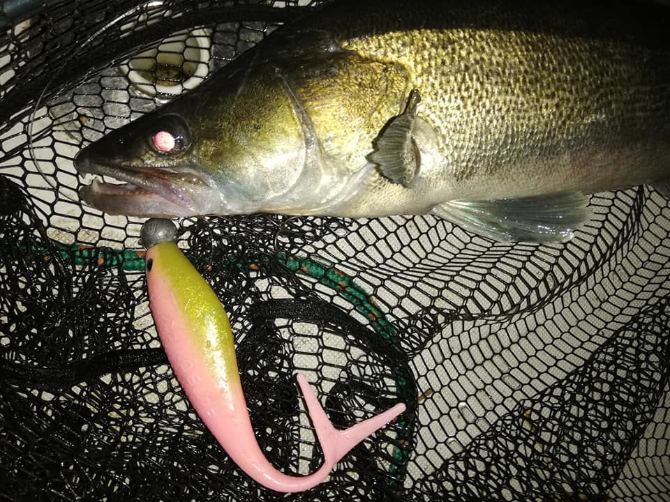 Shrap-Drakers.pl | Shrap Drakers Fishing | Wędkarstwo 