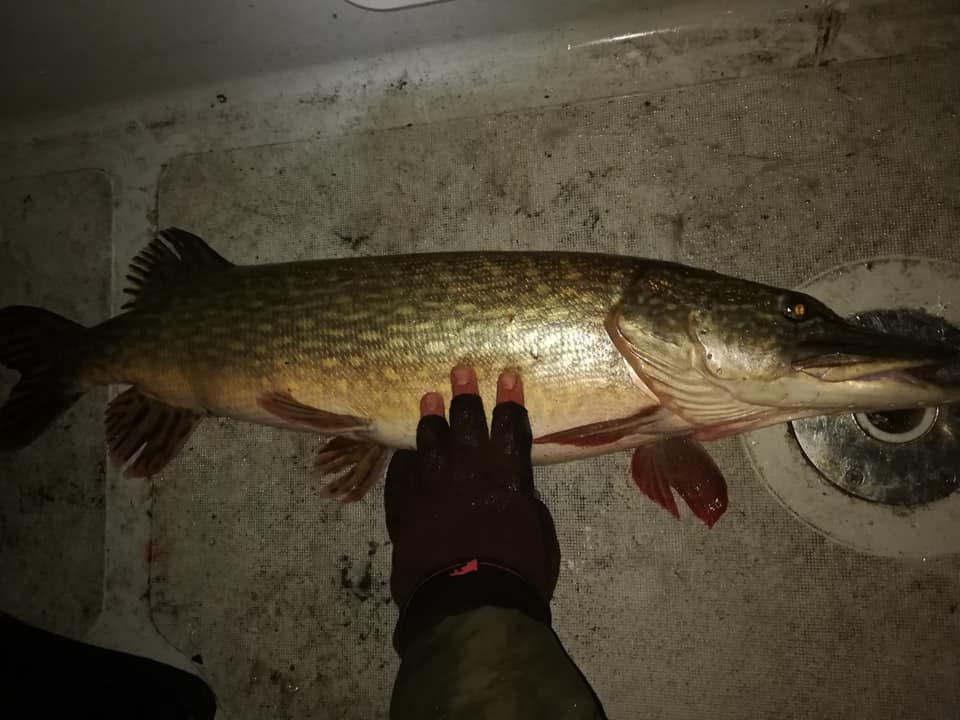 Shrap-Drakers.pl | Shrap Drakers Fishing | Wędkarstwo 