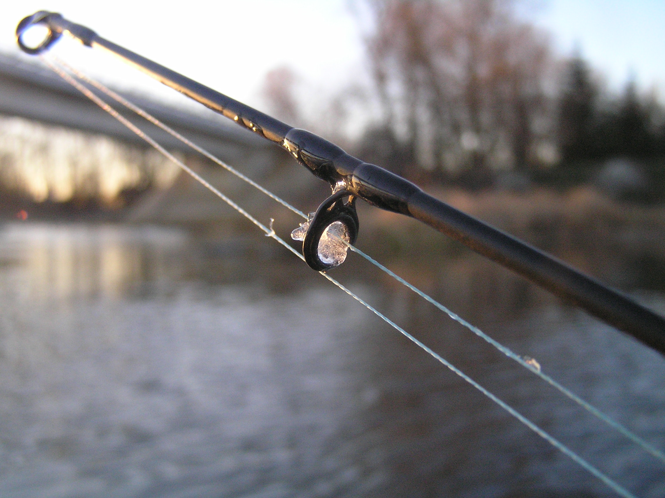 Shrap-Drakers.pl | Shrap Drakers Fishing | Wędkarstwo 