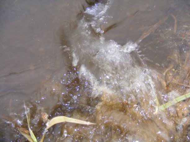 Shrap-Drakers.pl | Shrap Drakers Fishing | Wędkarstwo 