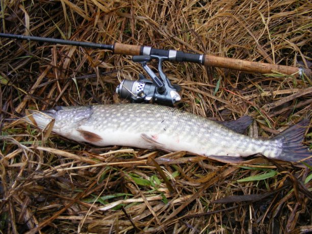 Shrap-Drakers.pl | Shrap Drakers Fishing | Wędkarstwo 