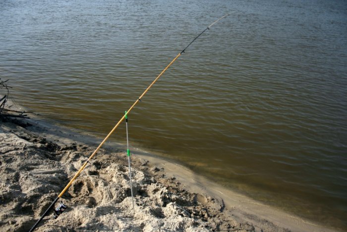 Shrap-Drakers.pl | Shrap Drakers Fishing | Wędkarstwo 