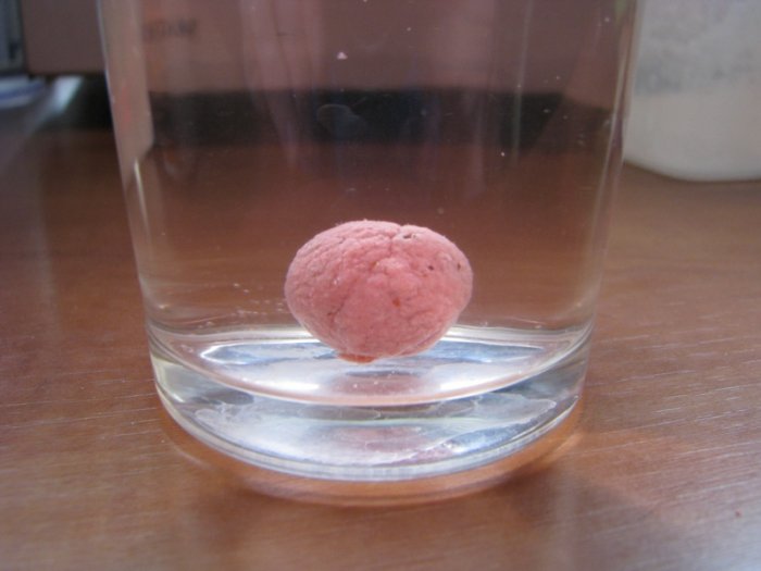 Shrap-Drakers.pl | Shrap Drakers Fishing | Wędkarstwo 