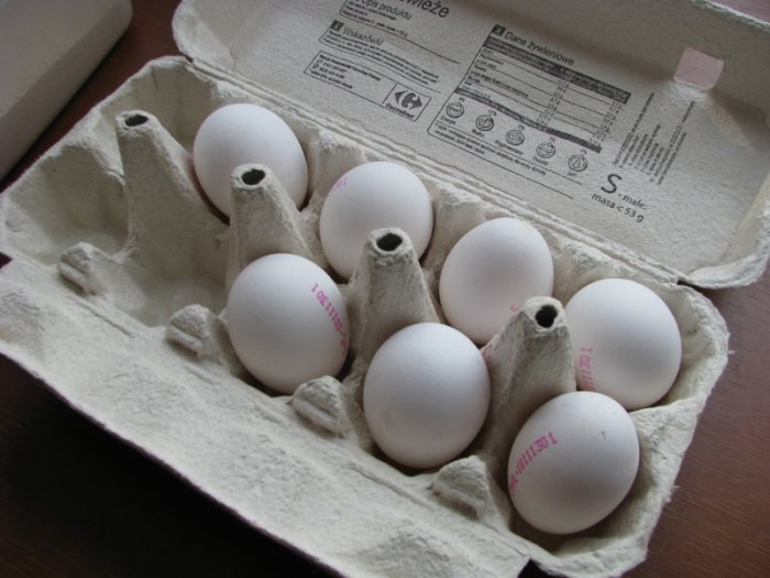 Shrap-Drakers.pl | Shrap Drakers Fishing | Wędkarstwo 