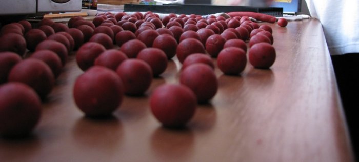 Shrap-Drakers.pl | Shrap Drakers Fishing | Wędkarstwo 