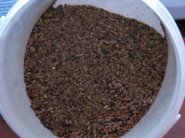 Shrap-Drakers.pl | Shrap Drakers Fishing | Wędkarstwo 