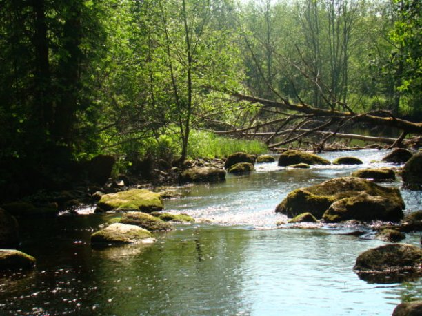 Shrap-Drakers.pl | Shrap Drakers Fishing | Wędkarstwo 