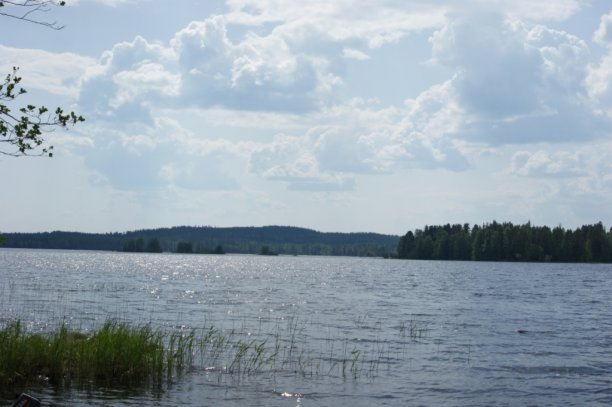 Shrap-Drakers.pl | Shrap Drakers Fishing | Wędkarstwo 