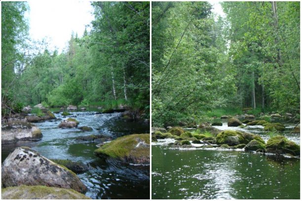 Shrap-Drakers.pl | Shrap Drakers Fishing | Wędkarstwo 