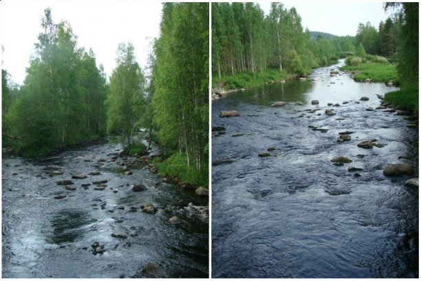 Shrap-Drakers.pl | Shrap Drakers Fishing | Wędkarstwo 