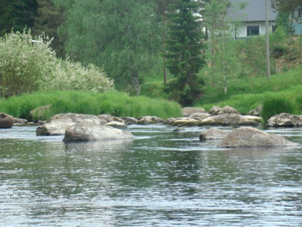 Shrap-Drakers.pl | Shrap Drakers Fishing | Wędkarstwo 